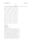 CONDITIONALLY IMMORTALIZED LONG-TERM STEM CELLS AND METHODS OF MAKING AND     USING SUCH CELLS diagram and image