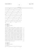 CONDITIONALLY IMMORTALIZED LONG-TERM STEM CELLS AND METHODS OF MAKING AND     USING SUCH CELLS diagram and image