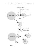 Devices and Methods for Purification of Biological Cells diagram and image