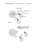 Devices and Methods for Purification of Biological Cells diagram and image