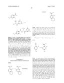 BIOAVAILABLE DIACYLHYDRAZINE LIGANDS FOR MODULATING THE EXPRESSION OF     EXOGENOUS GENES VIA AN ECDYSONE RECEPTOR COMPLEX diagram and image