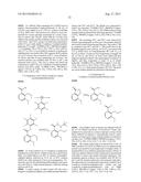 BIOAVAILABLE DIACYLHYDRAZINE LIGANDS FOR MODULATING THE EXPRESSION OF     EXOGENOUS GENES VIA AN ECDYSONE RECEPTOR COMPLEX diagram and image