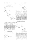 BIOAVAILABLE DIACYLHYDRAZINE LIGANDS FOR MODULATING THE EXPRESSION OF     EXOGENOUS GENES VIA AN ECDYSONE RECEPTOR COMPLEX diagram and image