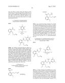 BIOAVAILABLE DIACYLHYDRAZINE LIGANDS FOR MODULATING THE EXPRESSION OF     EXOGENOUS GENES VIA AN ECDYSONE RECEPTOR COMPLEX diagram and image