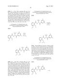 BIOAVAILABLE DIACYLHYDRAZINE LIGANDS FOR MODULATING THE EXPRESSION OF     EXOGENOUS GENES VIA AN ECDYSONE RECEPTOR COMPLEX diagram and image