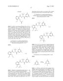 BIOAVAILABLE DIACYLHYDRAZINE LIGANDS FOR MODULATING THE EXPRESSION OF     EXOGENOUS GENES VIA AN ECDYSONE RECEPTOR COMPLEX diagram and image