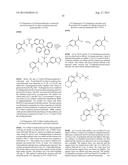 BIOAVAILABLE DIACYLHYDRAZINE LIGANDS FOR MODULATING THE EXPRESSION OF     EXOGENOUS GENES VIA AN ECDYSONE RECEPTOR COMPLEX diagram and image