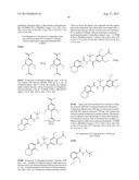 BIOAVAILABLE DIACYLHYDRAZINE LIGANDS FOR MODULATING THE EXPRESSION OF     EXOGENOUS GENES VIA AN ECDYSONE RECEPTOR COMPLEX diagram and image