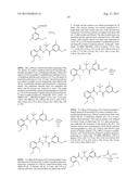 BIOAVAILABLE DIACYLHYDRAZINE LIGANDS FOR MODULATING THE EXPRESSION OF     EXOGENOUS GENES VIA AN ECDYSONE RECEPTOR COMPLEX diagram and image