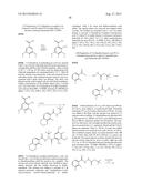 BIOAVAILABLE DIACYLHYDRAZINE LIGANDS FOR MODULATING THE EXPRESSION OF     EXOGENOUS GENES VIA AN ECDYSONE RECEPTOR COMPLEX diagram and image