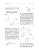 BIOAVAILABLE DIACYLHYDRAZINE LIGANDS FOR MODULATING THE EXPRESSION OF     EXOGENOUS GENES VIA AN ECDYSONE RECEPTOR COMPLEX diagram and image