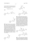 BIOAVAILABLE DIACYLHYDRAZINE LIGANDS FOR MODULATING THE EXPRESSION OF     EXOGENOUS GENES VIA AN ECDYSONE RECEPTOR COMPLEX diagram and image