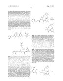 BIOAVAILABLE DIACYLHYDRAZINE LIGANDS FOR MODULATING THE EXPRESSION OF     EXOGENOUS GENES VIA AN ECDYSONE RECEPTOR COMPLEX diagram and image