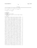 TRANSFORMANT OF SCHIZOSACCHAROMYCES POMBE MUTANT AND CLONING VECTOR diagram and image