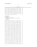 TRANSFORMANT OF SCHIZOSACCHAROMYCES POMBE MUTANT AND CLONING VECTOR diagram and image