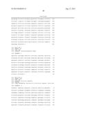 TRANSFORMANT OF SCHIZOSACCHAROMYCES POMBE MUTANT AND CLONING VECTOR diagram and image