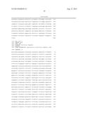 TRANSFORMANT OF SCHIZOSACCHAROMYCES POMBE MUTANT AND CLONING VECTOR diagram and image