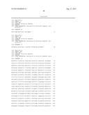 TRANSFORMANT OF SCHIZOSACCHAROMYCES POMBE MUTANT AND CLONING VECTOR diagram and image