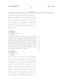 DOWN-REGULATION OF AUXIN RESPONSIVE GENES FOR IMPROVED PLANT PERFORMANCE diagram and image