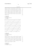 DOWN-REGULATION OF AUXIN RESPONSIVE GENES FOR IMPROVED PLANT PERFORMANCE diagram and image