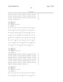 DOWN-REGULATION OF AUXIN RESPONSIVE GENES FOR IMPROVED PLANT PERFORMANCE diagram and image