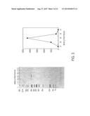 ENZYME ASSOCIATED WITH EQUOL SYNTHESIS diagram and image