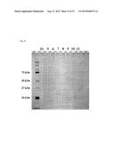 ENZYME ASSOCIATED WITH EQUOL SYNTHESIS diagram and image