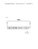 ENZYME ASSOCIATED WITH EQUOL SYNTHESIS diagram and image