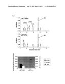 ENZYME ASSOCIATED WITH EQUOL SYNTHESIS diagram and image