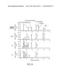 ENZYME ASSOCIATED WITH EQUOL SYNTHESIS diagram and image