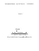 RECOMBINASE POLYMERASE AMPLIFICATION REAGENTS AND KITS diagram and image