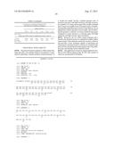 BNA CLAMP METHOD diagram and image