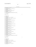 BNA CLAMP METHOD diagram and image