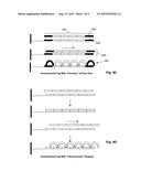 Methods and Compositions for Tagging and Identifying Polynucleotides diagram and image