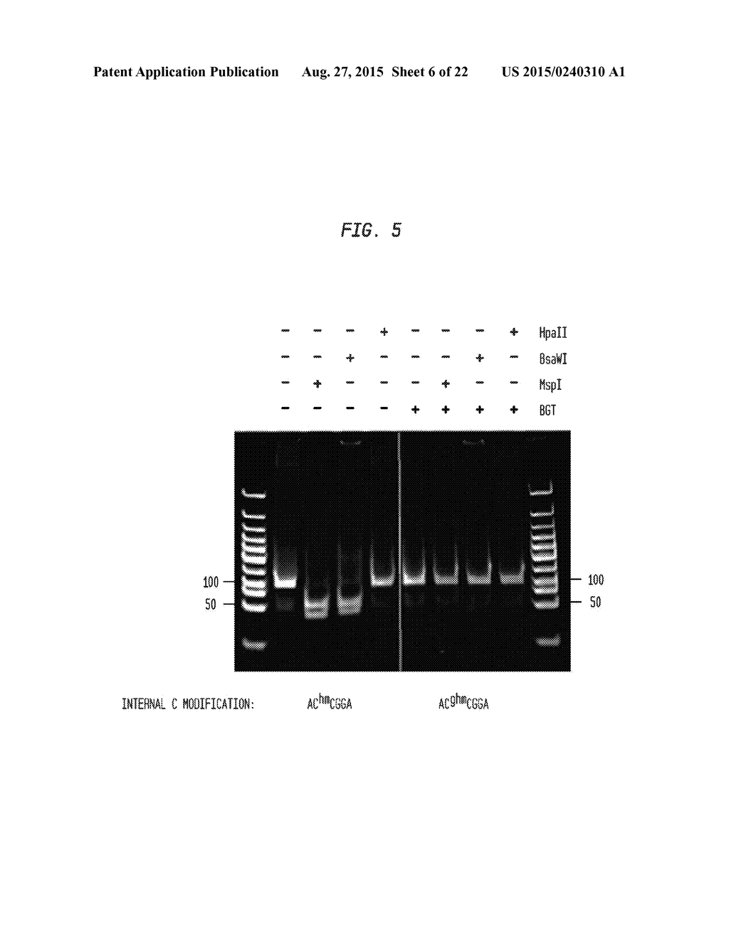 Detection and Quantification of Hydroxymethylated Nucleotides in a     Polynucleotide Preparation - diagram, schematic, and image 07