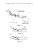 SYSTEM AND METHOD FOR BIOLOGICAL SPECIMEN MOUNTING diagram and image