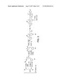 INHIBITORS OF CENTRAL NERVOUS SYSTEM VASOACTIVE INHIBITORY PEPTIDE     RECEPTOR 2 diagram and image