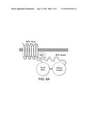 INHIBITORS OF CENTRAL NERVOUS SYSTEM VASOACTIVE INHIBITORY PEPTIDE     RECEPTOR 2 diagram and image