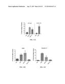 Methods and Compositions for Isolating Exosomes diagram and image