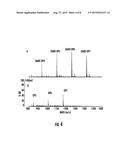 ISOBARIC ALDEHYDE-REACTIVE TAGS FOR AND ANALYSIS OF GLYCANS USING SAME diagram and image