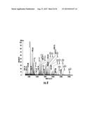 ISOBARIC ALDEHYDE-REACTIVE TAGS FOR AND ANALYSIS OF GLYCANS USING SAME diagram and image