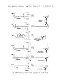 Methods of Detecting Conjugation Site-Specific and Hidden Epitope/Antigen diagram and image