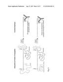 Methods of Detecting Conjugation Site-Specific and Hidden Epitope/Antigen diagram and image