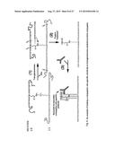 Methods of Detecting Conjugation Site-Specific and Hidden Epitope/Antigen diagram and image