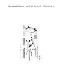 Methods of Detecting Conjugation Site-Specific and Hidden Epitope/Antigen diagram and image