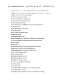 Methods of Detecting Conjugation Site-Specific and Hidden Epitope/Antigen diagram and image