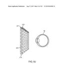 USING A FIBER SCANNING DISPLAY TO PRESENT A LIGHTFIELD TO A USER diagram and image