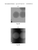 METHOD OF EXAMINING A SAMPLE IN A CHARGED-PARTICLE MICROSCOPE diagram and image