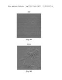 METHOD OF EXAMINING A SAMPLE IN A CHARGED-PARTICLE MICROSCOPE diagram and image