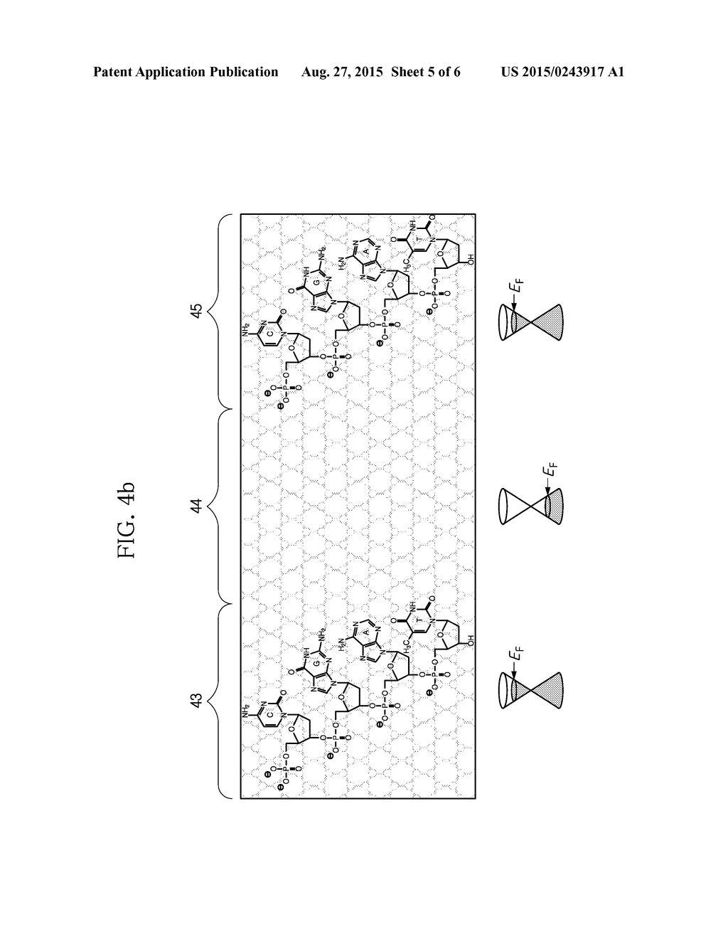 METHOD FOR FORMING PN JUNCTION IN GRAPHENE WITH APPLICATION OF DNA AND PN     JUNCTION STRUCTURE FORMED USING THE SAME - diagram, schematic, and image 06